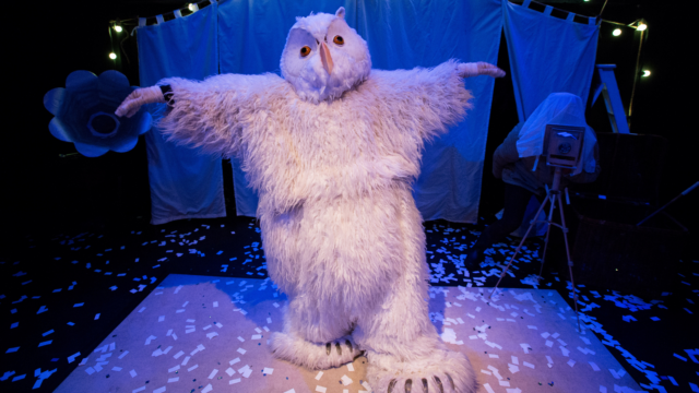 A performer wearing an owl outfit whilst performing on stage with their arms stretched out.